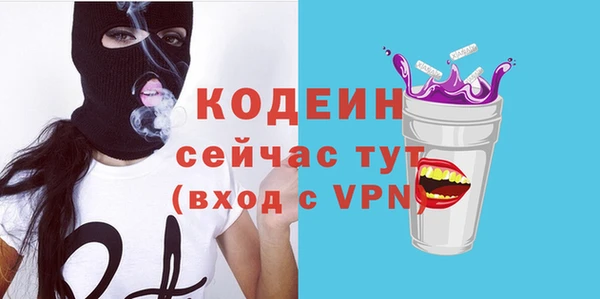 спиды Бородино