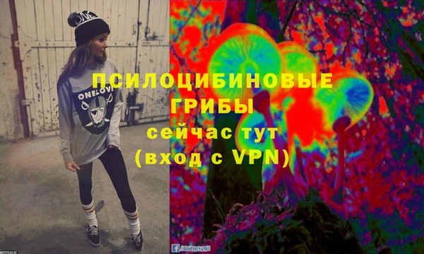 спиды Бородино