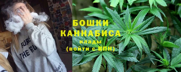 спиды Бородино
