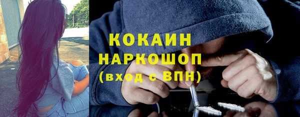 спиды Бородино