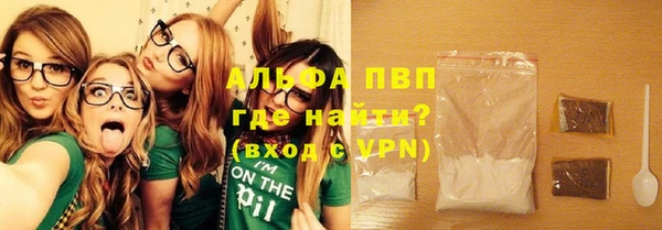 спиды Бородино