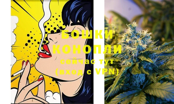 mix Богородск